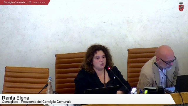 Consiglio Comunale n. 25