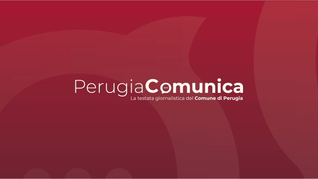 Consiglio Comunale n. 41