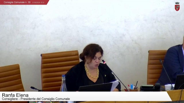 Consiglio Comunale n. 30